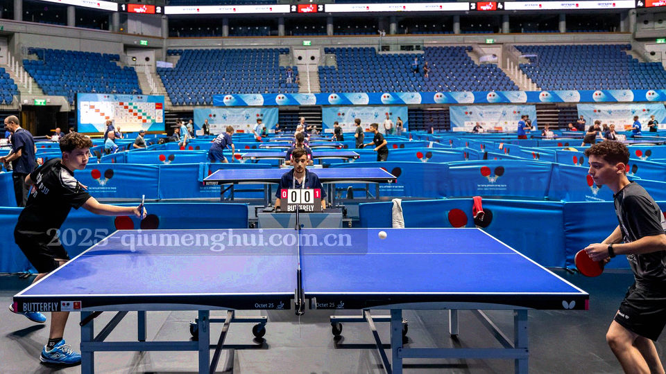 双色半场与数据切片结合的主客场表现示意